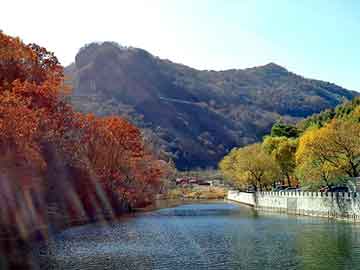 管家婆黑白马报图库，海蛇肤净